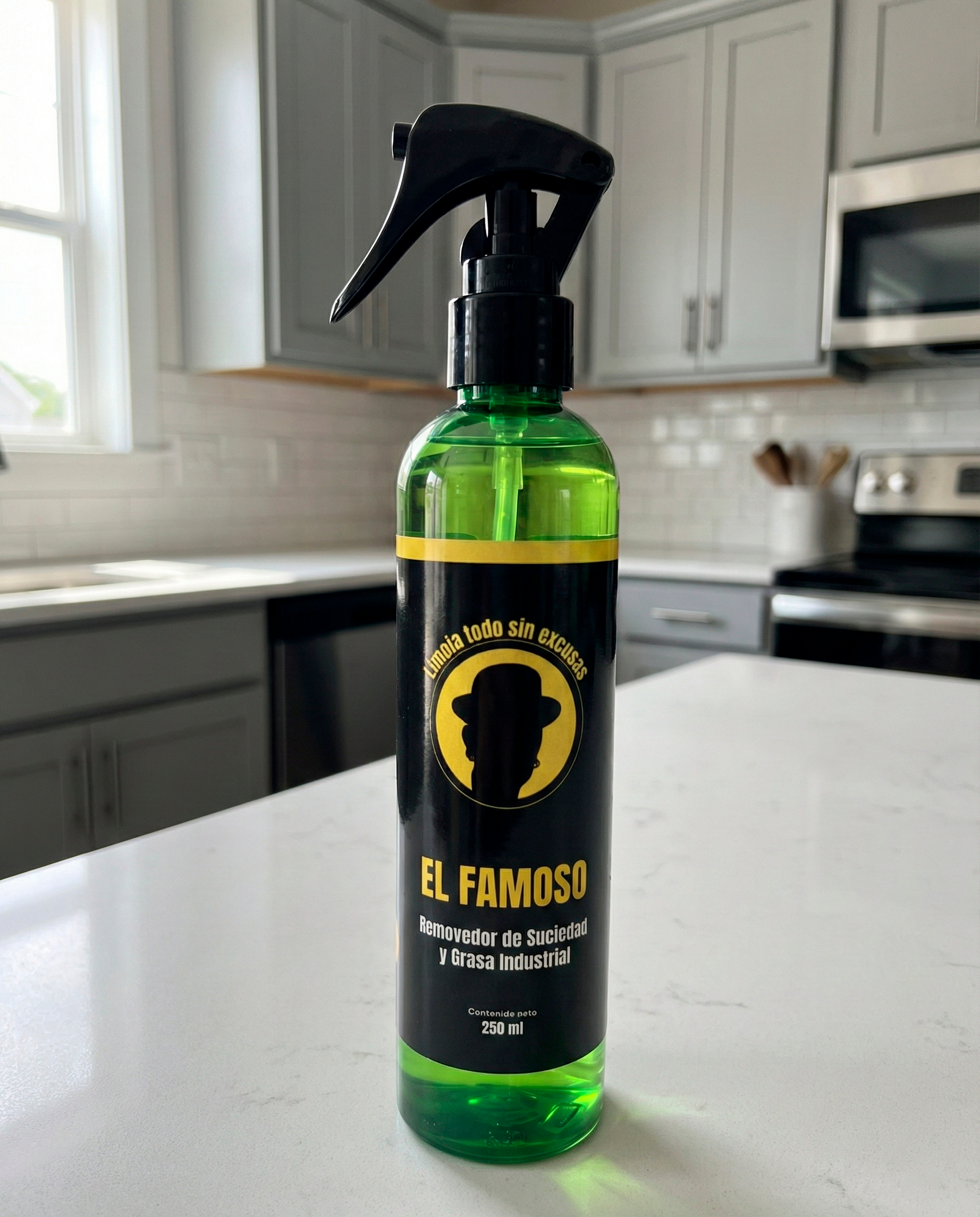 Removedor de suciedades y grasa Industrial EL FAMOSO